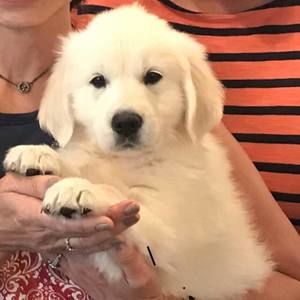 Meet your Posher, Kathy